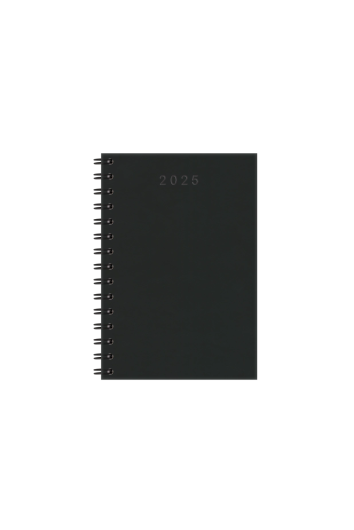 AGENDA 2025 ESPIRAL CRISTAL PRETA - REDOMA R734PT
