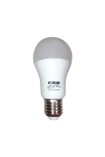 Lampada Led Bulbo 12w 6500k