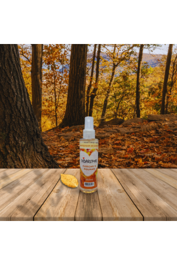 Aromatizador de Ambiente Spray 150ml Cascas & Folhas Vidaroma