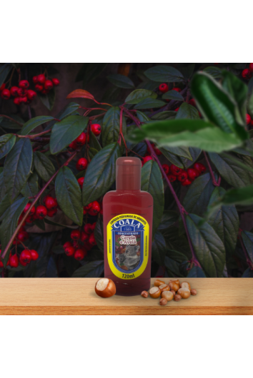 Aromatizador de Ambiente Concentrado Coala 120ml Cereja e Avelã