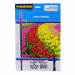 PAPEL TRANSFER A4 160G 5FLS TECIDO CLARO MASTERPRINT