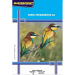 Papel Foto A3 180g 20fls Dupla Face Masterprint