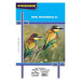 Papel Foto A3 180g 20fls Glossy